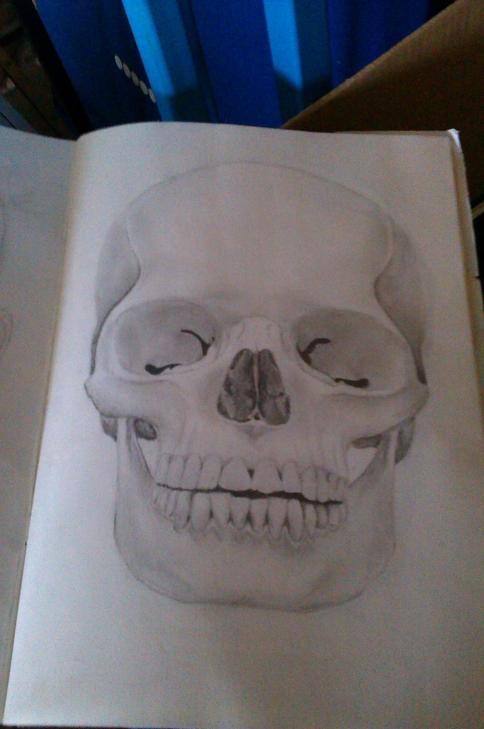 skull 1